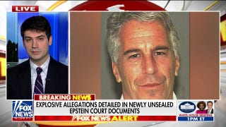 Explosive allegations detailed in newly unsealed Epstein documents  - Fox News