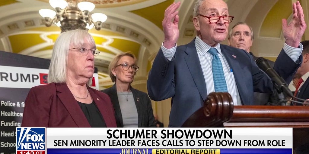 Chuck Schumer under siege by his fellow Democrats
