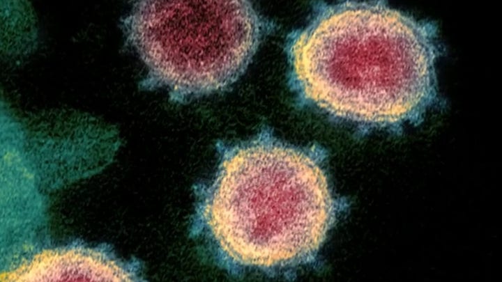 Coronavirus cases reported in 48 states