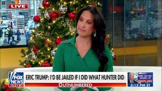 Emily Compagno: ‘Infuriating’ to watch Hunter Biden blame Republicans for his actions - Fox News