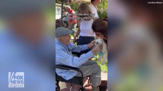 California man turns 100, is visited by hundreds of dogs - Fox News