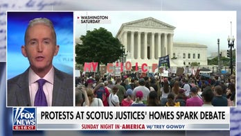 Gowdy: Something is going on in this country and it's not good