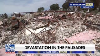 'Seen and Unseen': Palisades fire aftermath is 'apocalyptic'