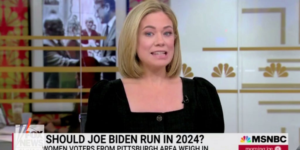 MSNBC analyst stunned by focus group's reaction to Biden running in