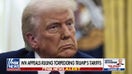 Federal court torpedoes Trump tariffs: 'Reckless in the extreme'