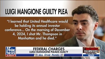 Luigi Mangione pleads guilty to federal charges in healthcare CEO murder case