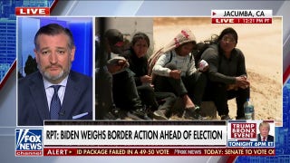 Biden’s border efforts are ‘entirely fake for the election’: Ted Cruz - Fox News