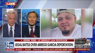 ‘Rogue’ judges are trying to ‘slow’ Trump’s migrant deportations: Former deputy assistant AG