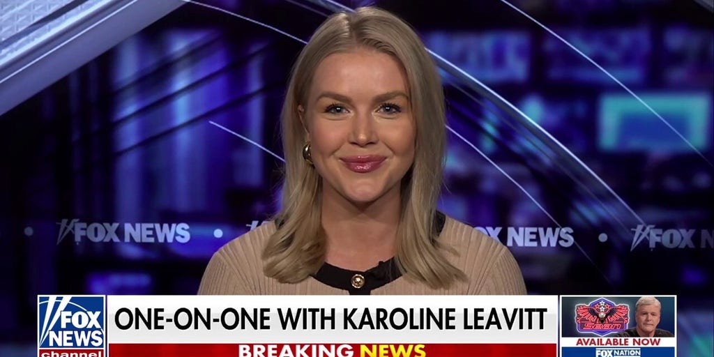 Karoline Leavitt: Democrats are so incredibly out of touch