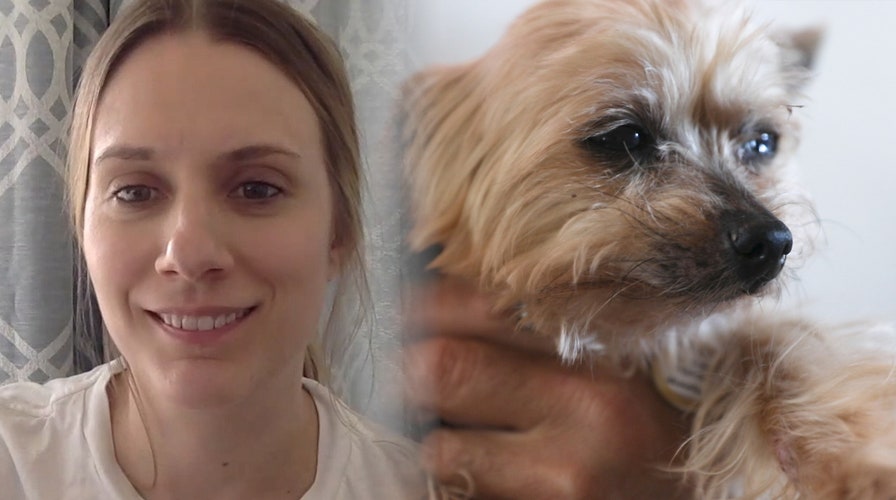 Exclusive: Fostering a senior dog in the time of coronavirus