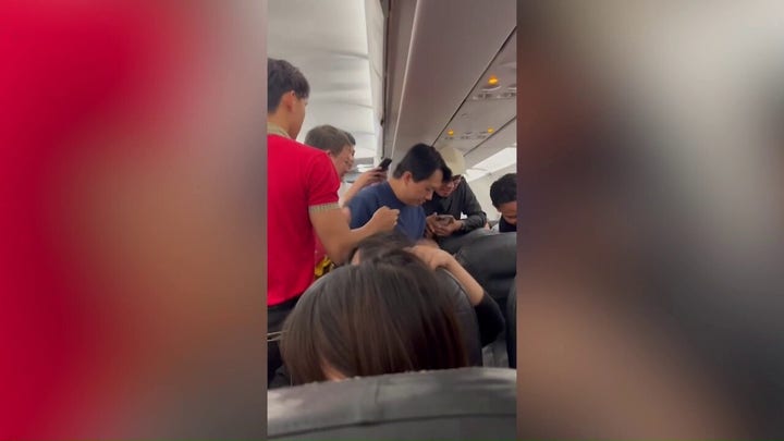 Passenger panic as rat, wild animal get loose aboard plane