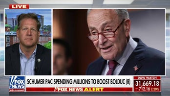 New Hampshire's Sununu warns Democrats boosting 'extreme' GOP candidates will 'massively backfire' in midterms