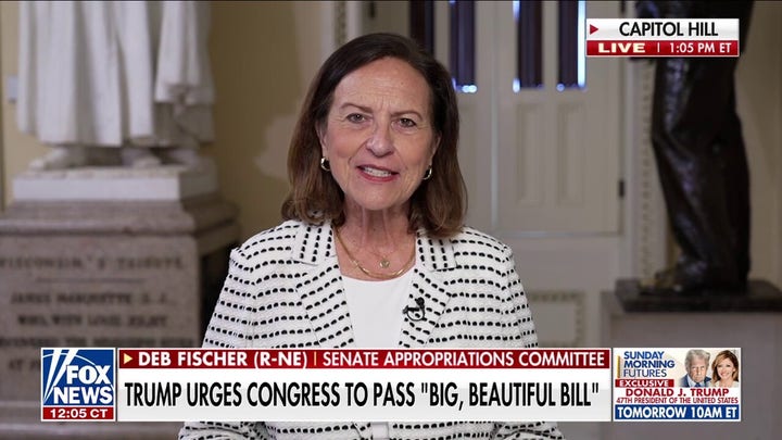 Americans ‘cannot see’ the Trump-era tax cuts expire, senator urges
