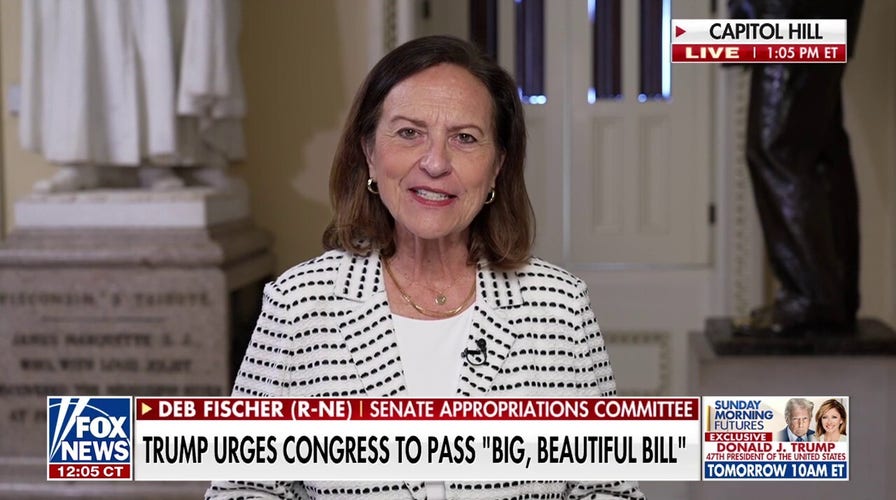 Americans ‘cannot see’ the Trump-era tax cuts expire, senator urges