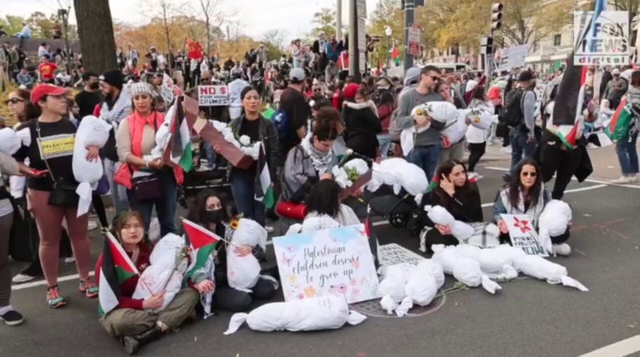 Pro-Palestinian Washington, D.C. street marches