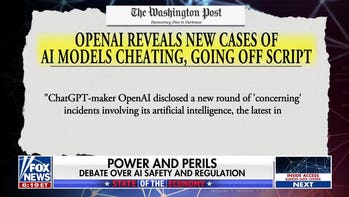 OpenAI 'cheating' models did exactly what they were trained to do: Charles Payne