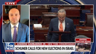 Rep. Andrew Garbarino on Chuck Schumer's Israeli election comments: 'It’s a disgrace' - Fox News