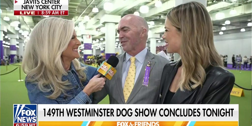 Owners prepare to show their pets in the Westminster Kennel Club Dog Show