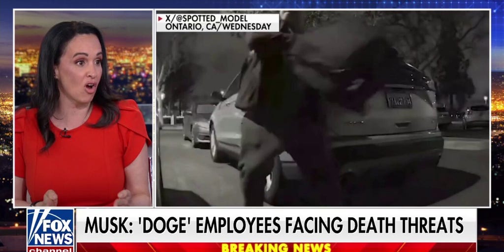 DOGE is 'exactly' what Americans asked for, says former California GOP chairwoman