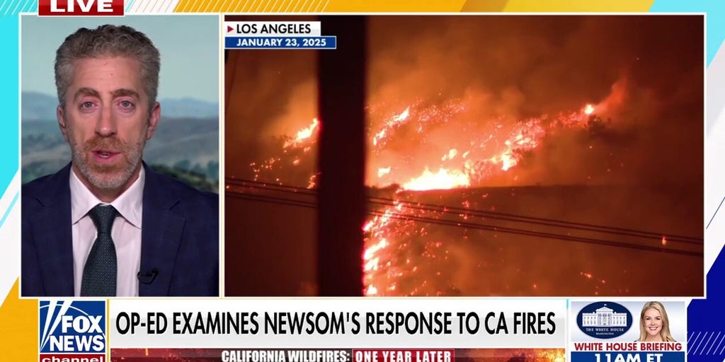 California Post vows to hold state lawmakers accountable for LA wildfires: 'We deserve better'
