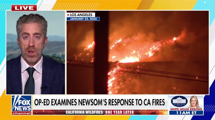 California Post vows to hold state lawmakers accountable for LA wildfires: 'We deserve better'