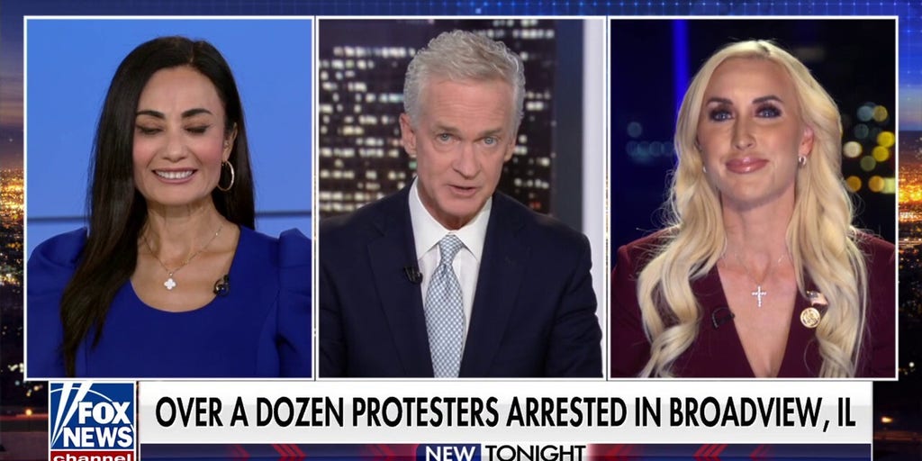 At least 11 arrested outside ICE facility in Illinois