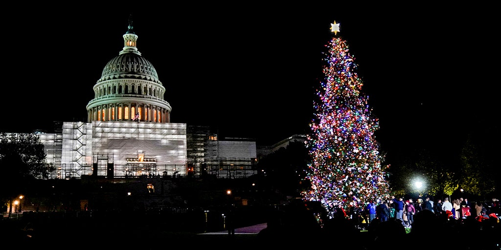 WATCH LIVE: Speaker Johnson hosts the annual US Capitol Christmas tree lighting