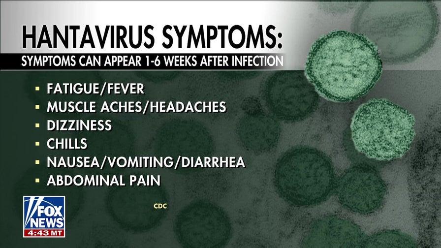 Americans evacuate from cruise ship impacted by hantavirus
