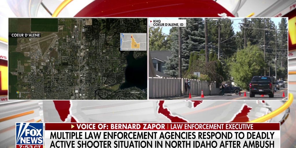 https://a57.foxnews.com/cf-images.us-east-1.prod.boltdns.net/v1/static/694940094001/531639ed-8e28-4392-adb5-fb1128fd3dad/62b20608-234c-4140-962c-2d52c6972400/1280x720/match/1024/512/image.jpg?ve=1&tl=1