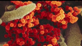 Singapore, after working to keep coronavirus in check, to shut down borders Tuesday