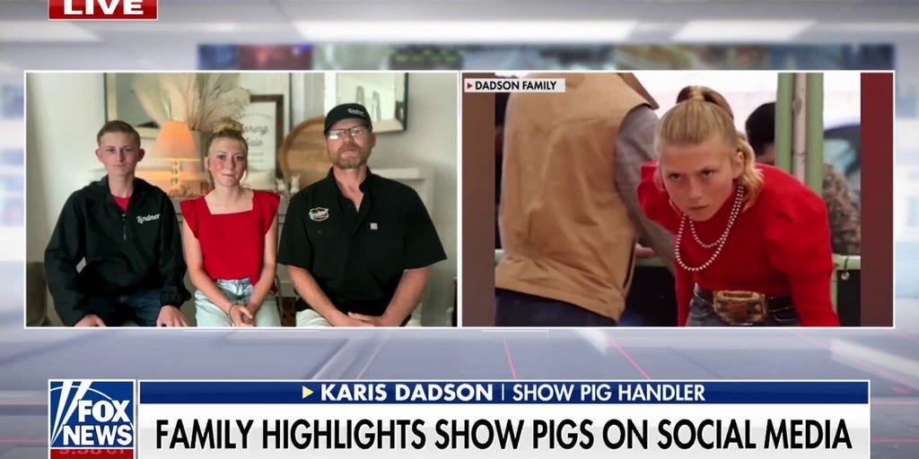 Show pig handler goes viral on TikTok for ‘stare’