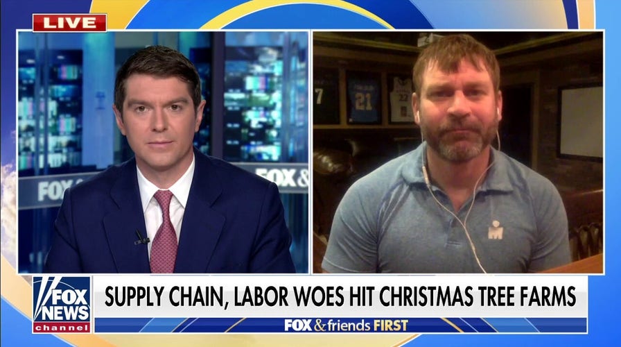 Christmas tree industry hit with 'perfect storm': Farm owner