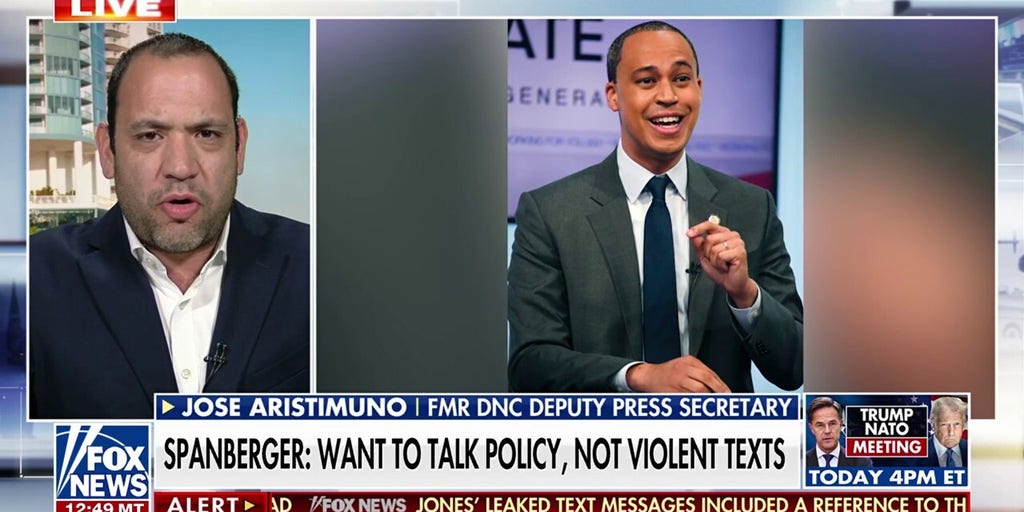 Former DNC deputy press secretary says Dems have 'lost their way,' calls on party to return to 'center politics'