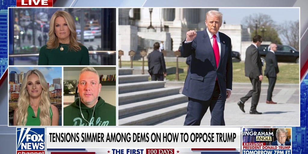 Liberal TV hosts slam direction of the Democratic Party