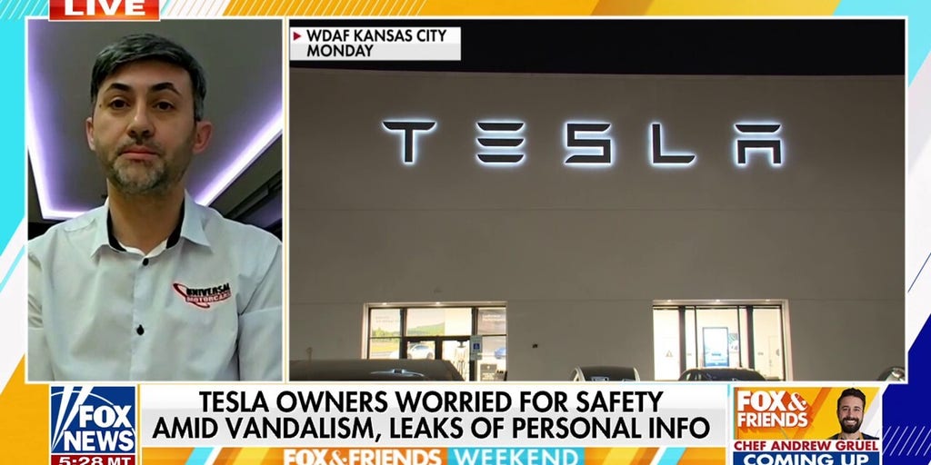 Tesla owner says drivers shouldn’t be scared to operate their own vehicles after latest Tesla attacks