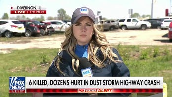 Dust storm in Illinois leaves 6 dead, dozens injured