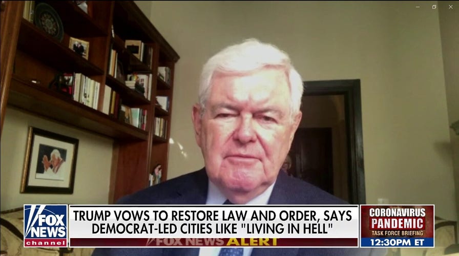 Newt Gingrich: 'Systemic racism' is a political term