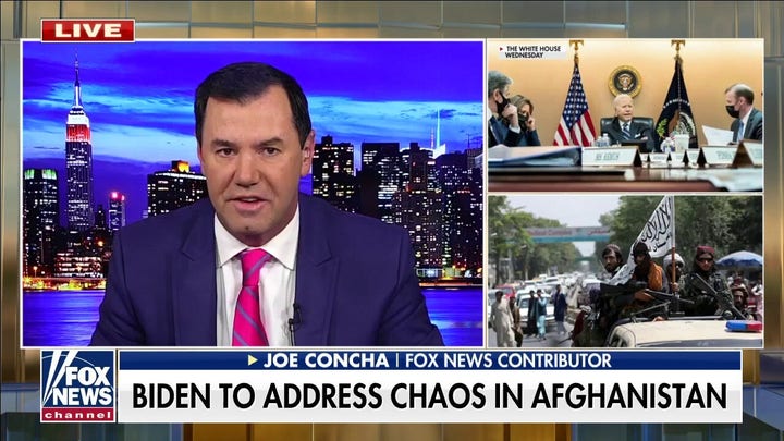 Concha: If Biden and Harris skip questions it will show 'they're in over their heads'