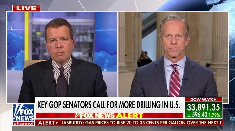 Tapping into petroleum preserves is a 'bandaid': John Thune