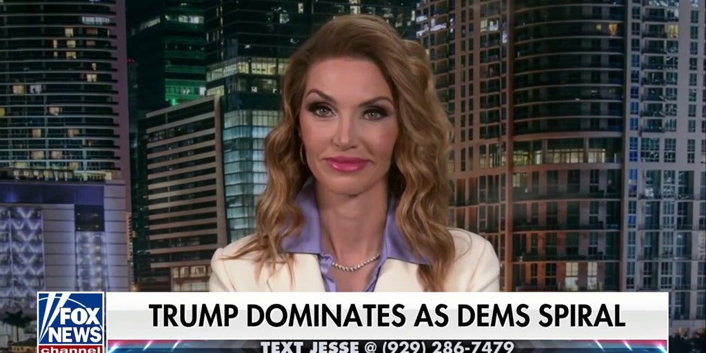 Democrats should be worried about drone sightings, not Trump, supporter says
