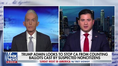 Judge restricts DHS investigation into noncitizen voting