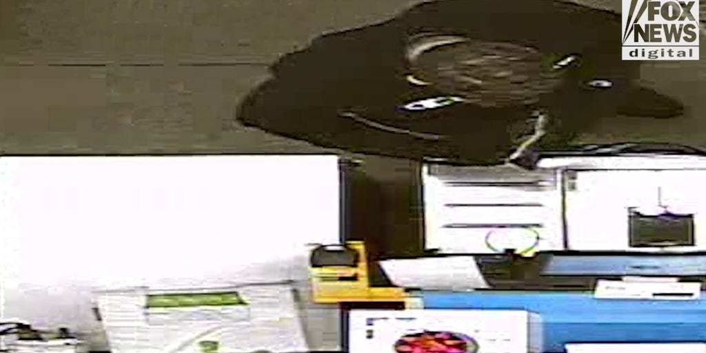 Bryan Kohberger started shopping with gloves on after Idaho student murders