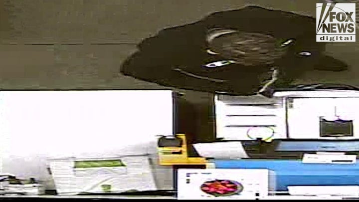 Bryan Kohberger started shopping with gloves on after Idaho student murders