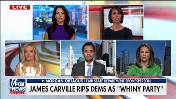James Carville blasts Democrats: 'Quit being a whiny party'