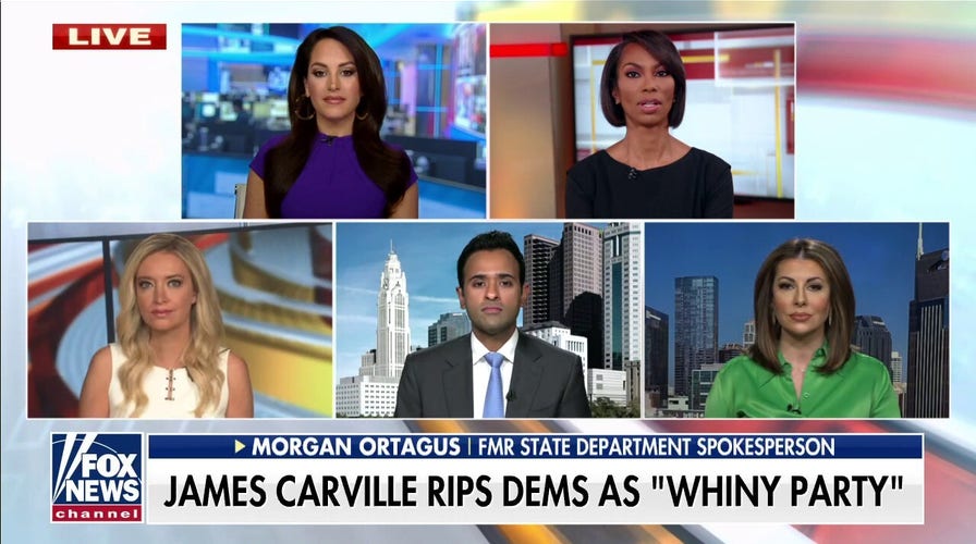 James Carville blasts Democrats: 'Quit being a whiny party'