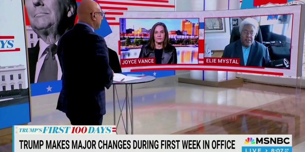 MSNBC guest Elie Mystal blames 'majority of White people' for helping Trump win office: 'Great job, White folks'