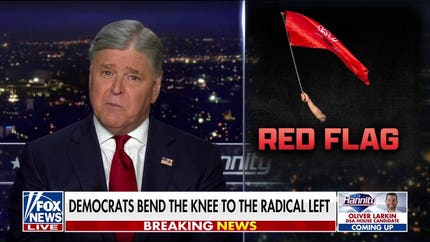 Sean Hannity: The left is at war with itself
