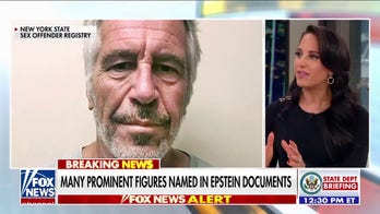 Unsealed Epstein documents ‘one more step in probably a lengthy process’: Emily Compagno
