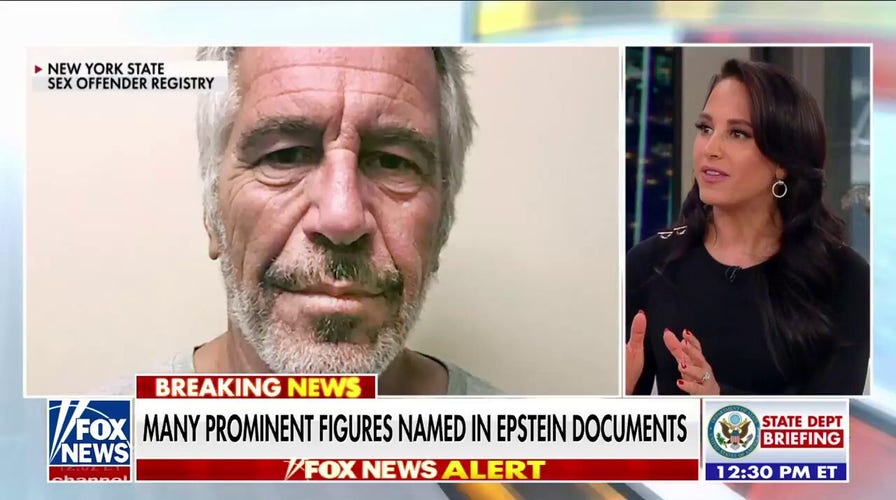 Unsealed Epstein documents ‘one more step in probably a lengthy process’: Emily Compagno