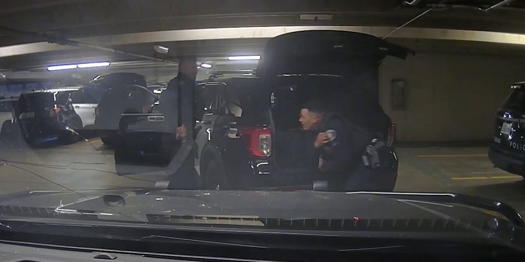 Police department releases shocking officer 'horseplay' shooting video